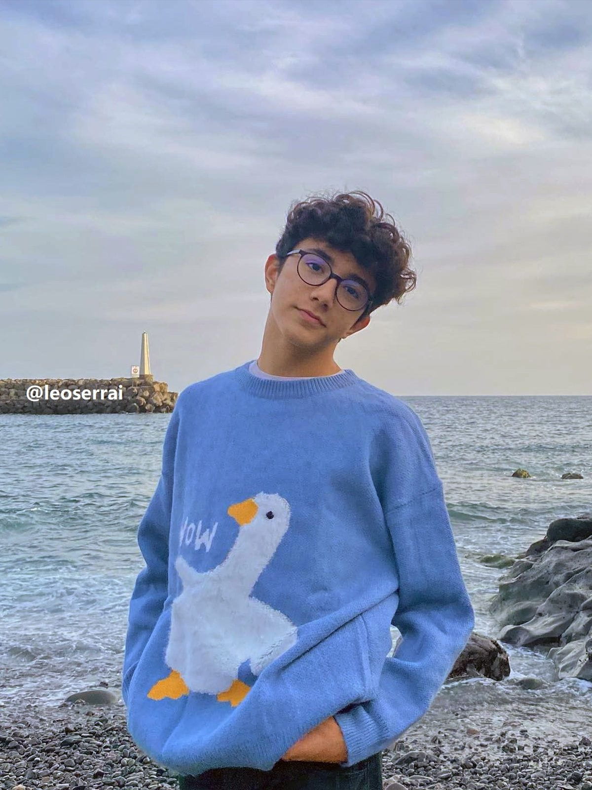 Aelfric Eden Wow Goose Graphic Sweater - Image 3