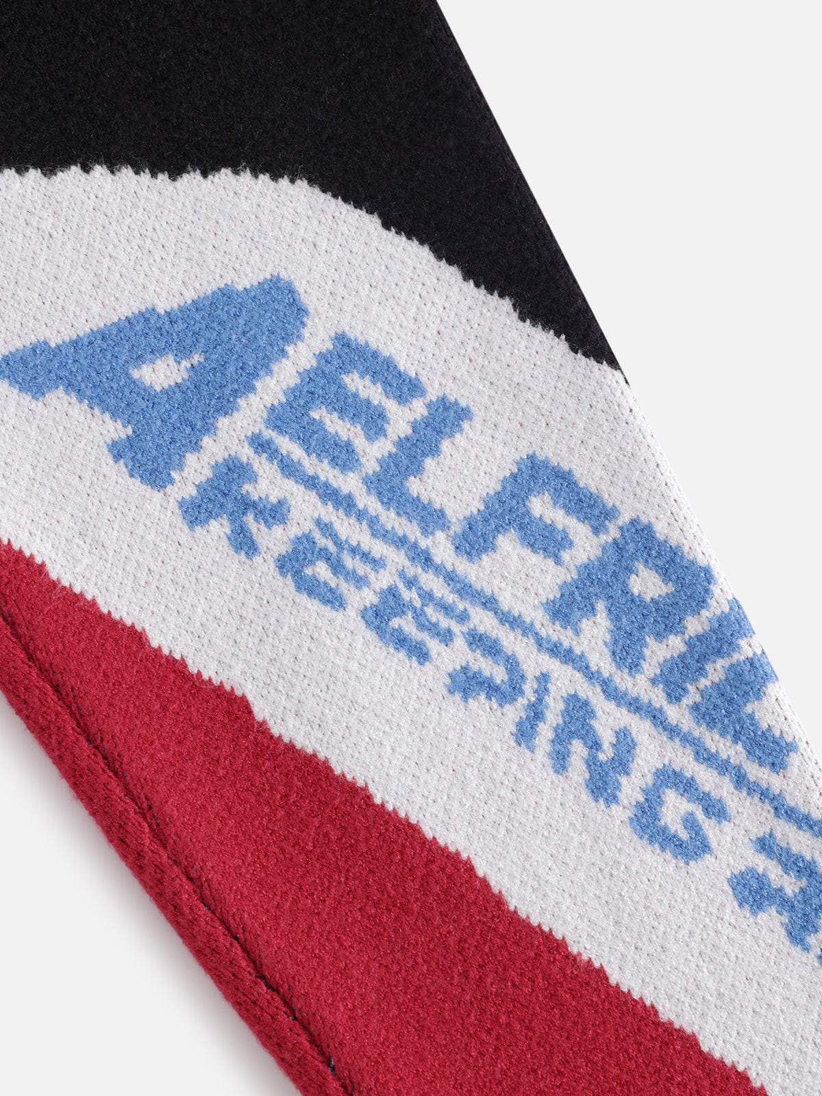 Aelfric Eden Color Blocking Racing Sweater - Image 5