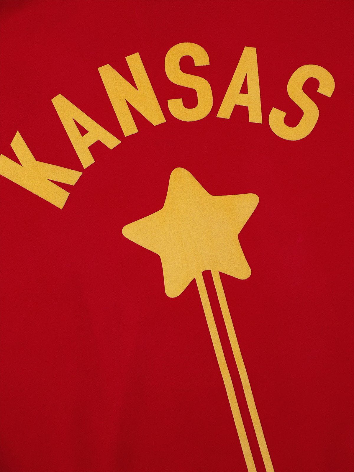 Aelfric Eden Vintage Eden Star Pullover Hoodie - Image 12